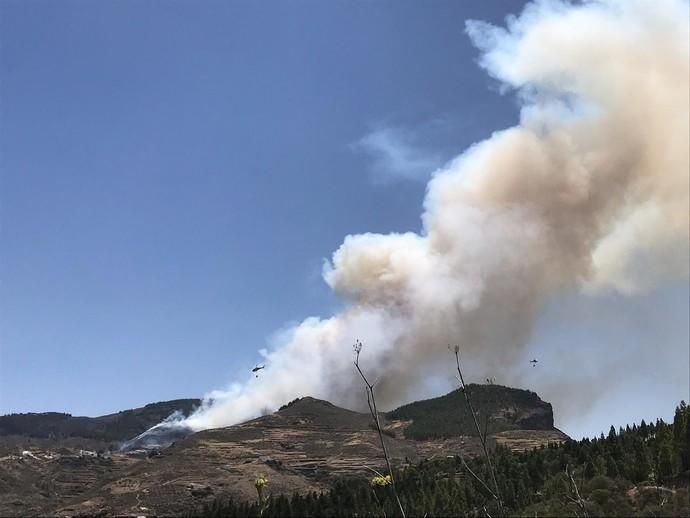 Incendio en la cumbre de Gran Canaria