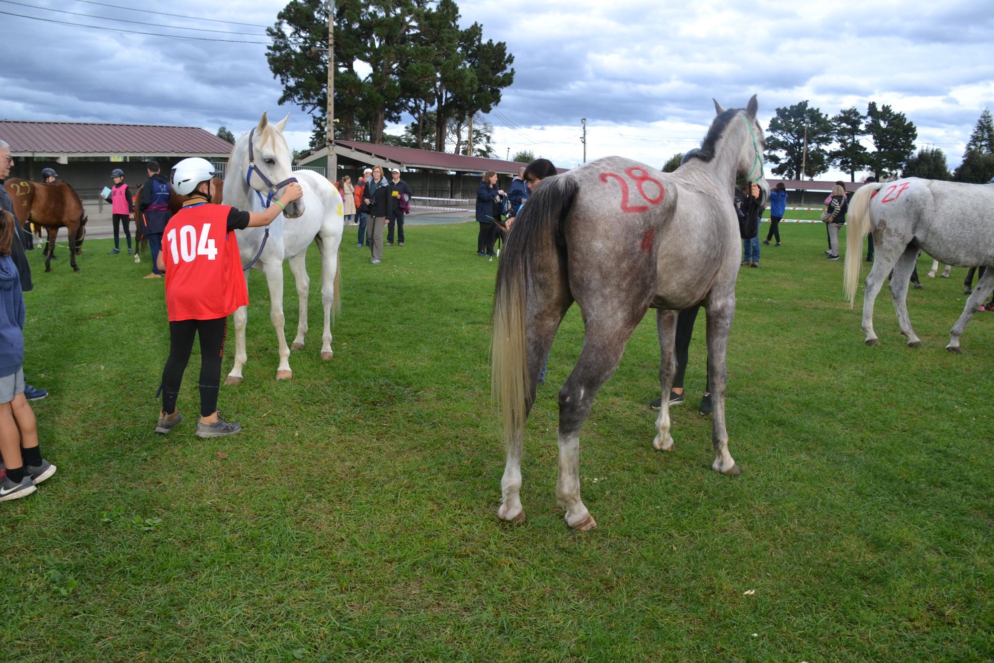 En imagenes: Campeonato de España raid interautonomías en Llanera