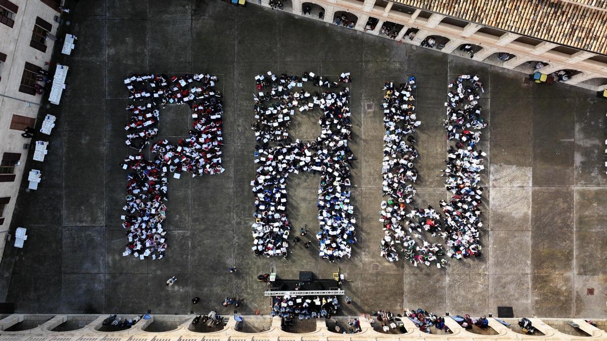Así ha sido el Día Escolar de la No Violencia y la Paz