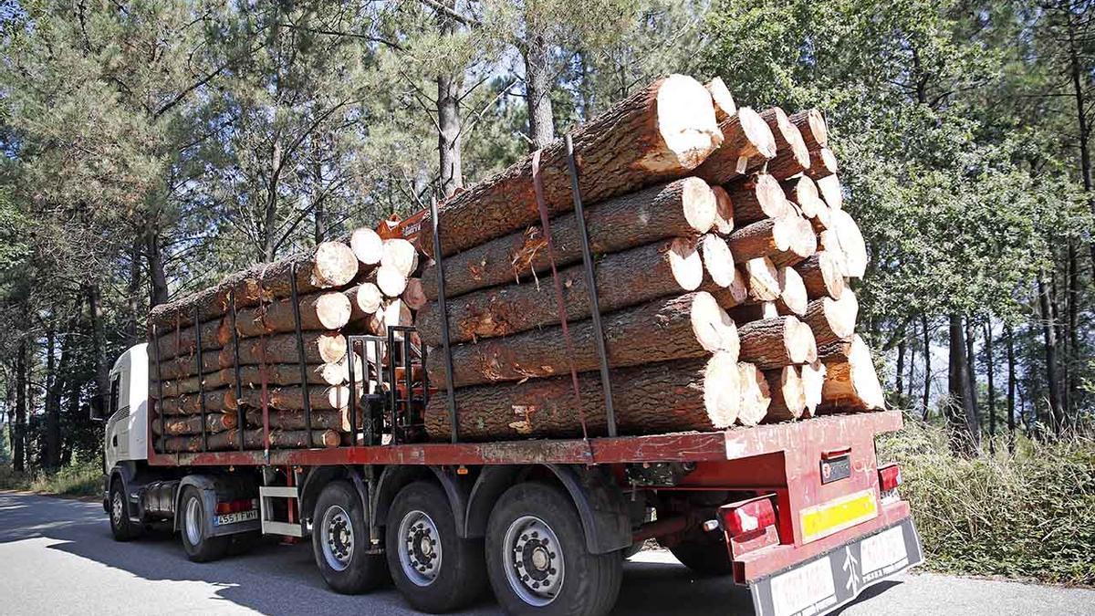 Un camión transportando madera