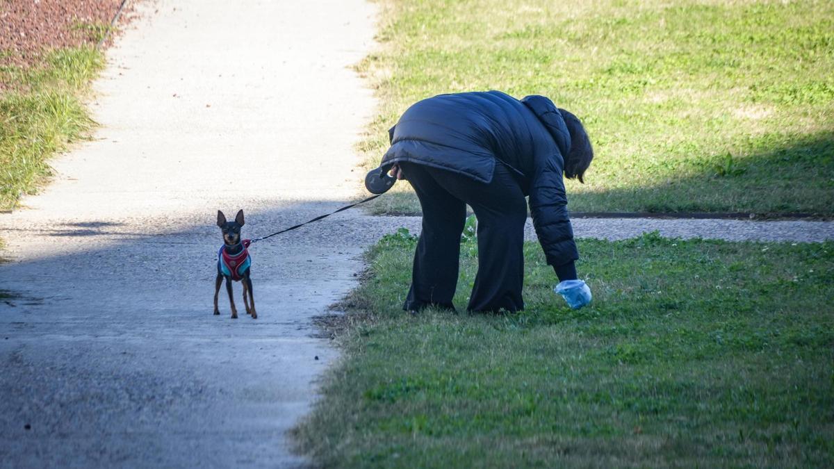 Una mujer recoge los excrementos de su perro en el corredor verde.
