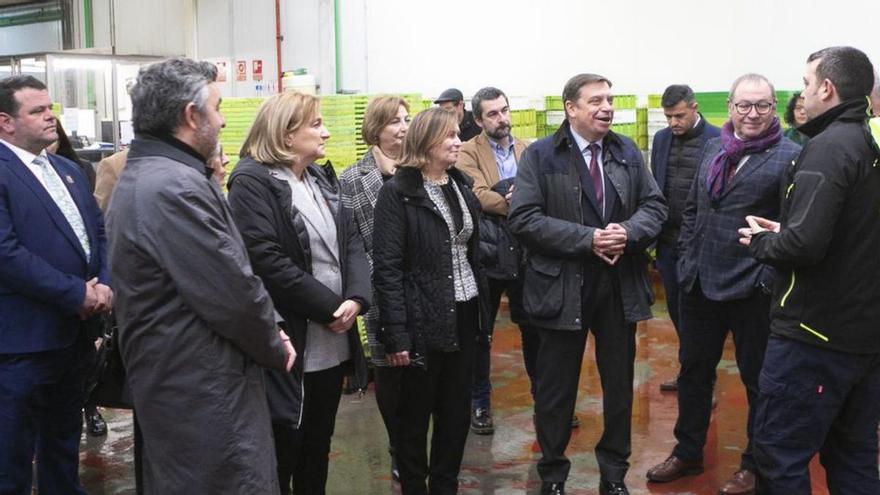 Mero al horno y vino de la Tierra de Cangas, el menú del Ministro de Agricultura en Avilés antes de dejar Asturias tras una intensa visita