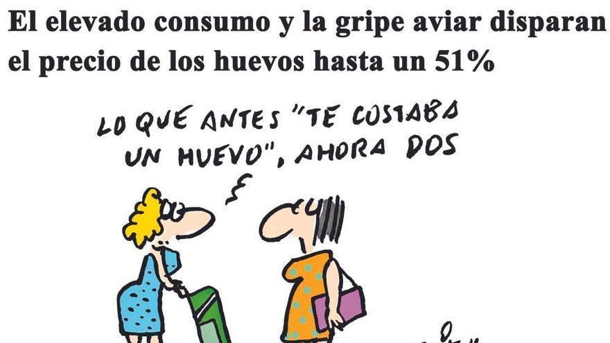 El elevado consumo y la gripe aviar disparan el precio de los huevos hasta un 51%