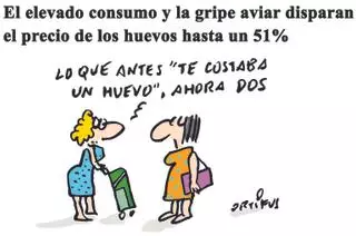 El elevado consumo y la gripe aviar disparan el precio de los huevos hasta un 51%