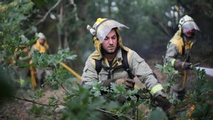 Els bombers denuncien la precarietat amb què treballen: «12 hores davant del foc per 1.000 euros al mes»