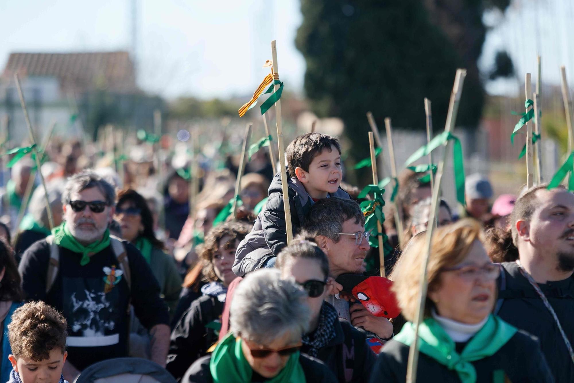 Los castellonenses rememoran sus orígenes con la Romeria