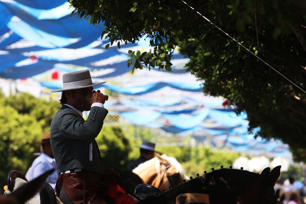 Domingo en el Cortijo de Torres.