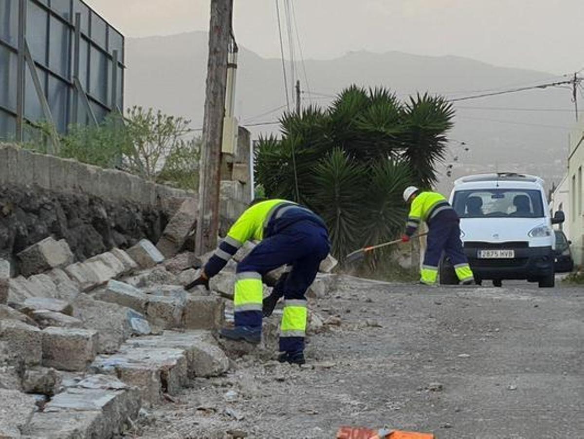 Registran más de 800 incidentes por el viento en Canarias Registran más de 800 incidentes por el viento en Canarias