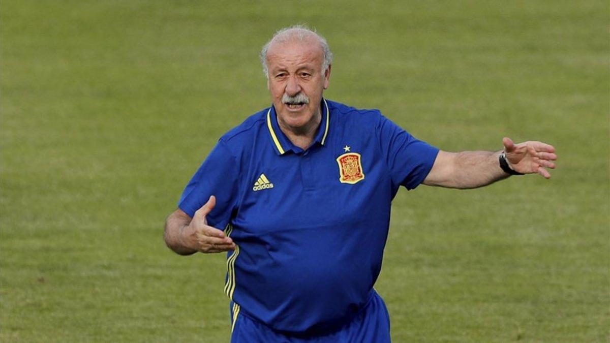 Del Bosque hubiese querido tener a Messi a sus órdenes en la selección, un sueño que le habría aportado &quot;un valor añadido&quot; a su combinado nacional