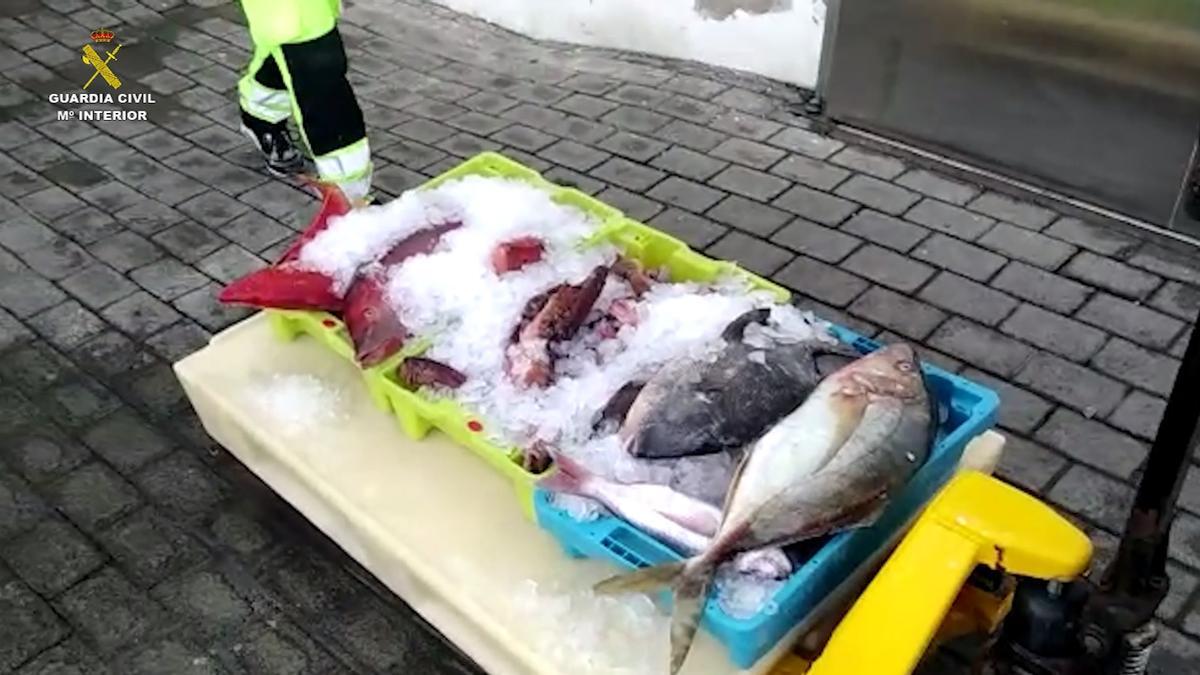 Desarticulado un grupo de pescadores furtivos en Lanzarote