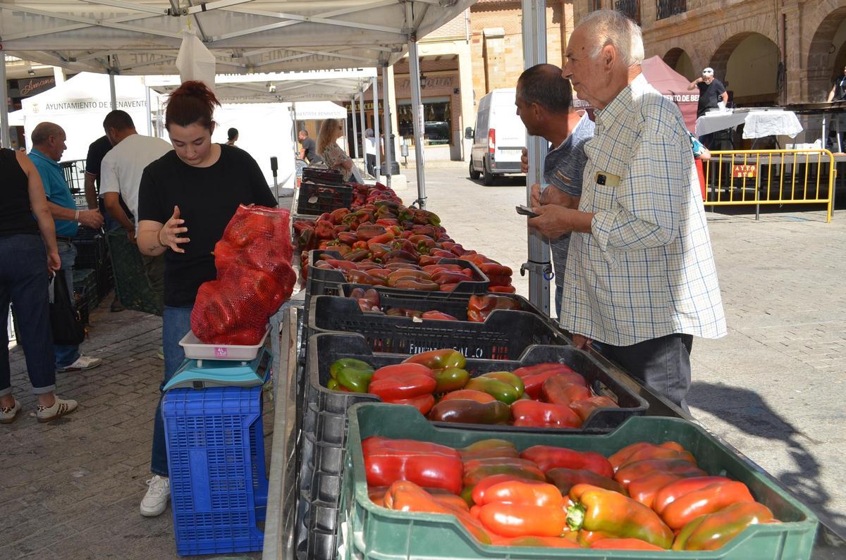 Feria del Pimiento de Benavente.