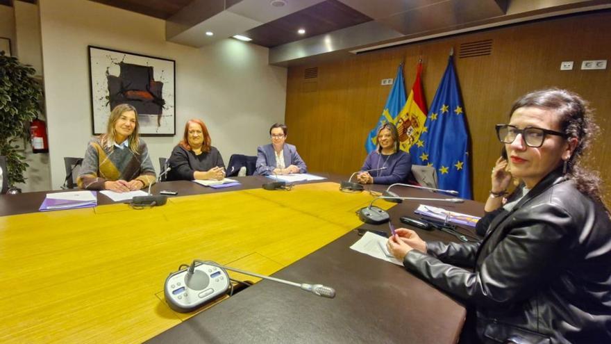 Gimena Llamedo, ayer, presidiendo la mesa del Observatorio de Violencia sobre la Mujer, y, a su derecha, Vanesa Fernández, directora de Igualdad, junto con integrantes del servicio.  | LNE