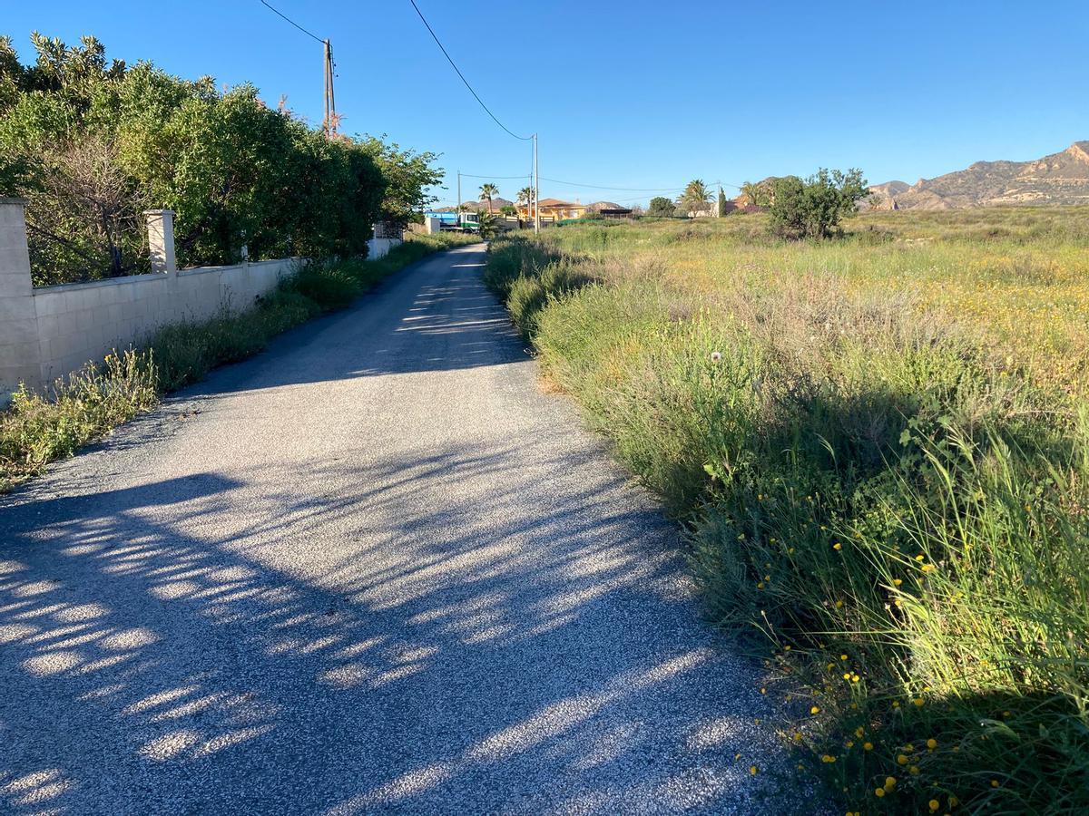 Camino sin desbrozar en Verdegás
