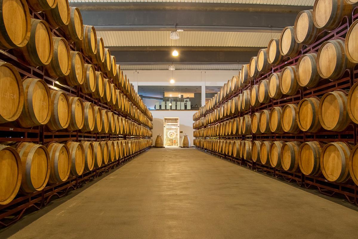Bodega Zuazo GastonLos vinos de Zuazo Gastón han conseguido ser premiados en ferias y certámenes, además de conquistar el mercado internacional.
