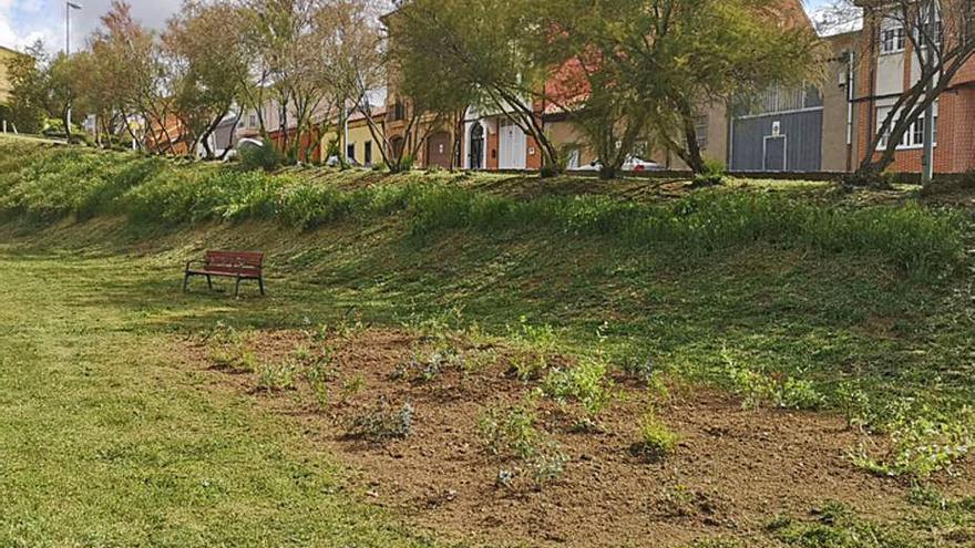 Uno de los espacios recuperados, con un banco y varias plantas. | E. P.