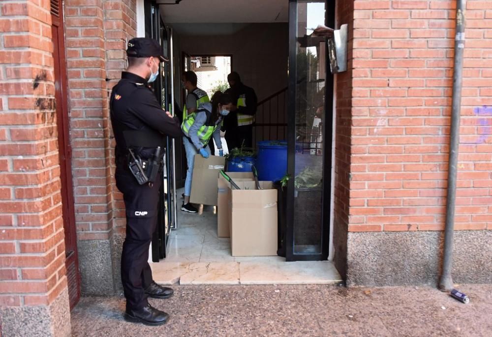 Hallan 300 plantas de marihuana en una casa del barrio del Infante de Murcia