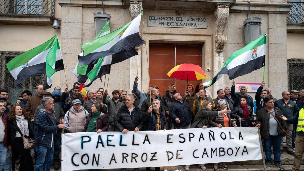 Vídeo | Manifestación del sector arrocero en Badajoz