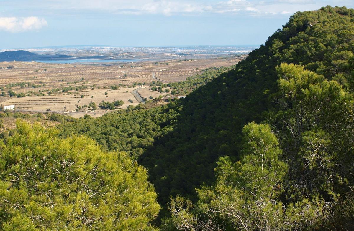 Imagen captada desde lo alto de Sierra Escalona con el embalse de La Pedrera y el mar al fondo