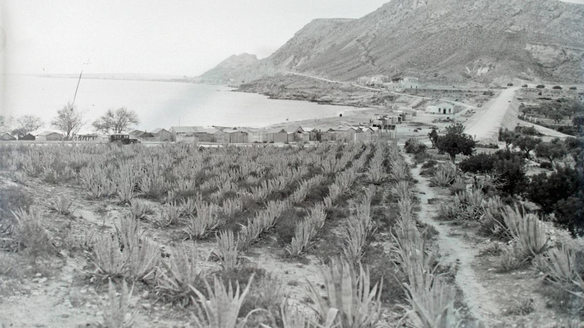 Fábrica La Británica y el camino de la Cantera.