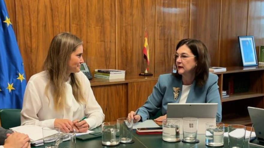 El Gobierno ordena a Competencia hacer un rastreo masivo de nuevas eléctricas ‘fantasma’ y empresas ‘pirata’ en el mercado de luz