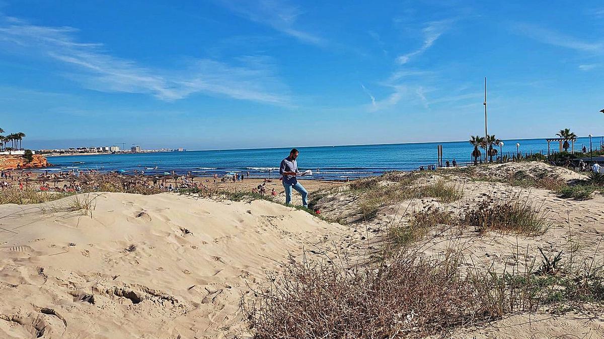 Actuaciones en las dunas de la playa de la Glea y Cala Bosque