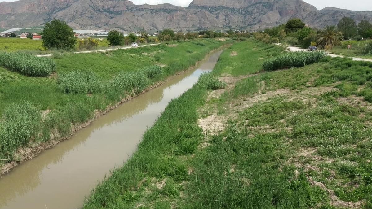 La CHS investiga tres vertidos al río Segura y uno a la rambla del Albujón