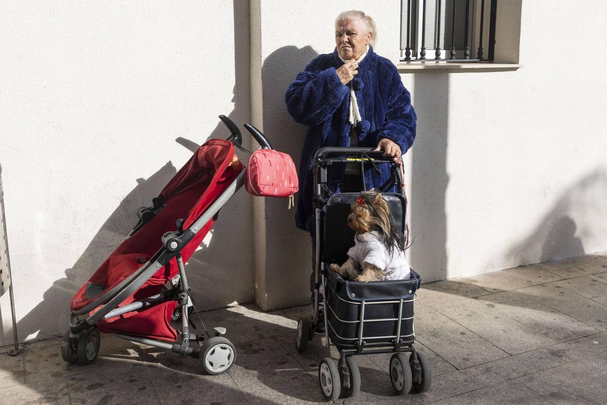 Una mujer mayor con su perro en un carrito.