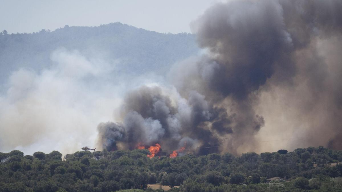 Columna de fum de l'incendi forestal de la Bisbal d'Empordà d'aquest 3 de juliol.