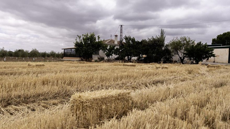 A prisión el hombre detenido por matar a su pareja en  Antequera