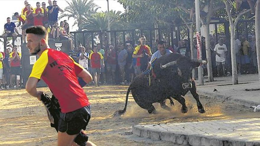 Una multitud recibe en Nules a los primeros cerriles de Sant Roc