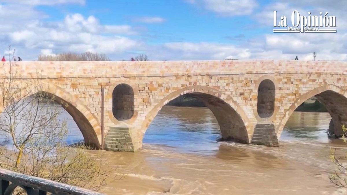 VÍDEO | Los zamoranos vuelven a pasear por el Puente de Piedra