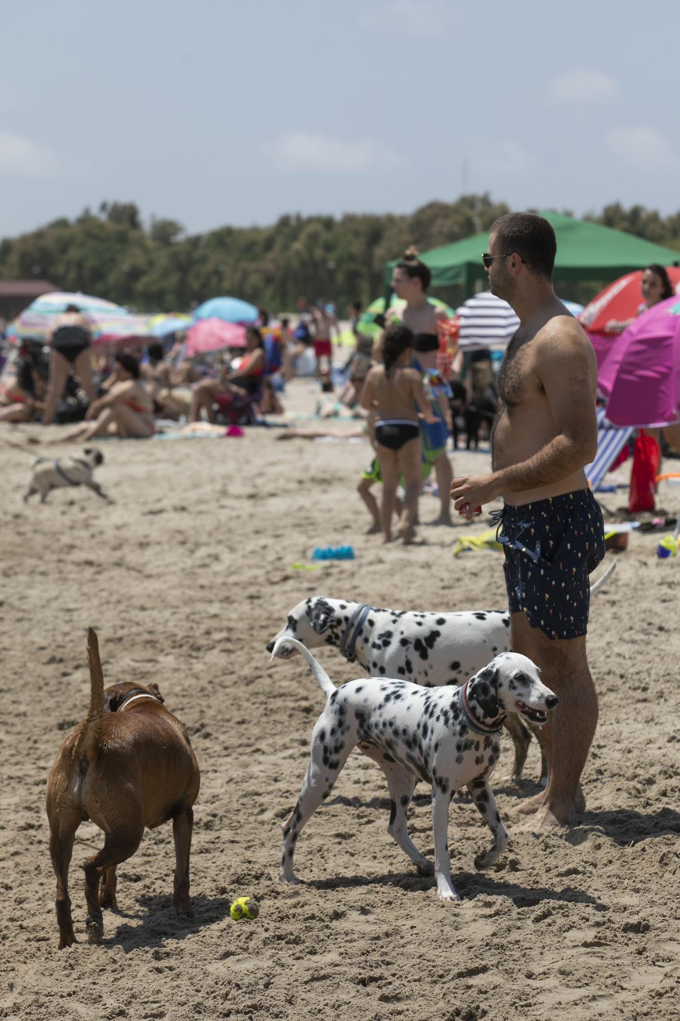 Playa canina de Pinedo