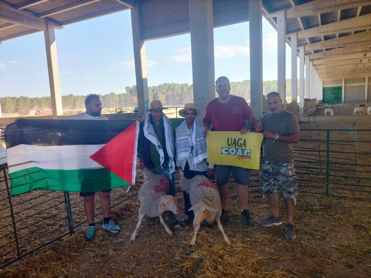 Donación de dos corderos a la Casa Palestina.