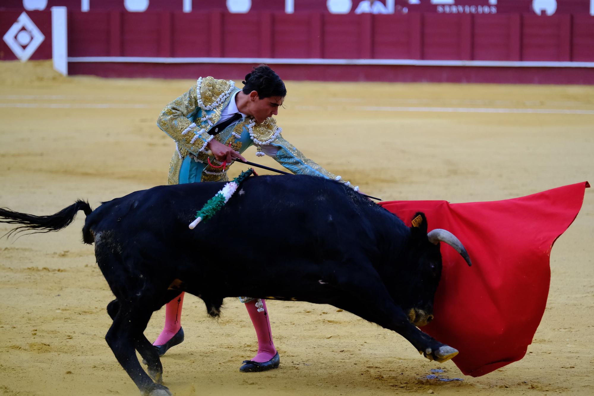 Toros en la Feria I Octava corrida de abono en la Malagueta:  2ª Semifinal de las Escuelas Taurinas