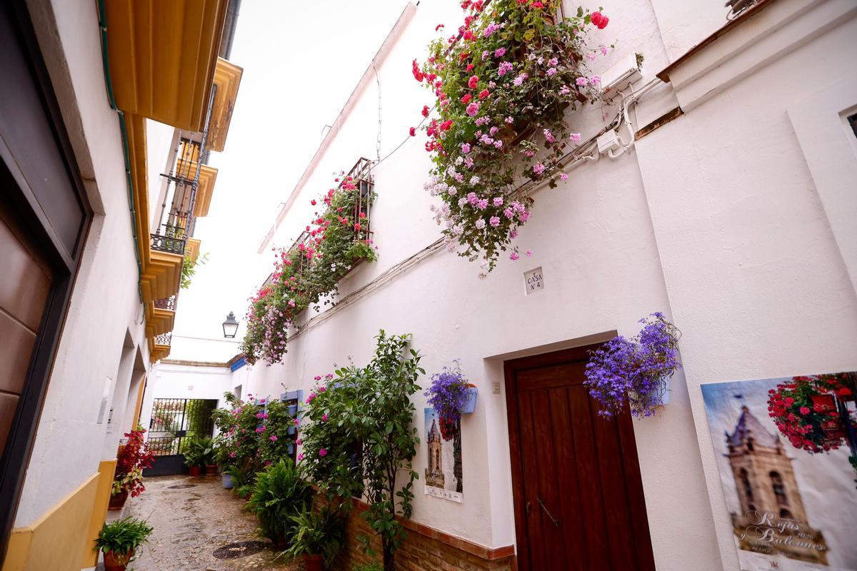 Ganadores del Concurso de Rejas y Balcones de Córdoba 2026
