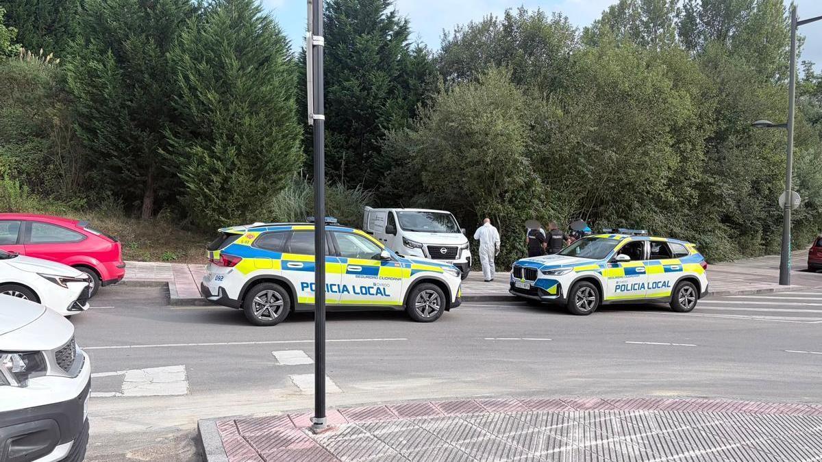 Localizan el cuerpo sin vida de un hombre cerca del Parque de Invierno de Oviedo