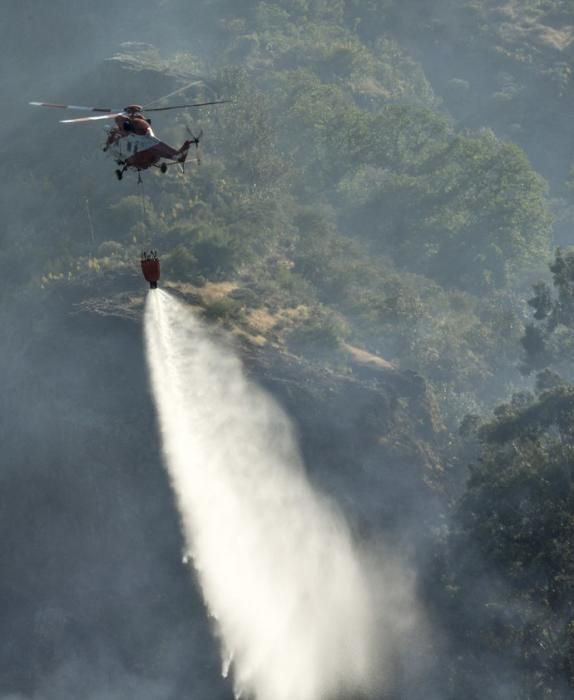 VALLESECO. Incendio forestal en Valleseco  | 16/05/2019 | Fotógrafo: José Pérez Curbelo