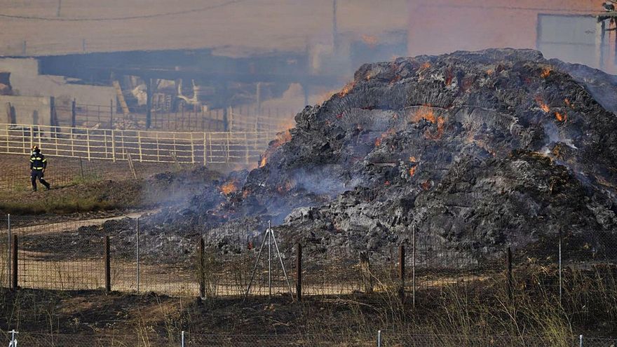 Un incendio en la carretera de La Hiniesta: &quot;el fuego se nos venía encima&quot;