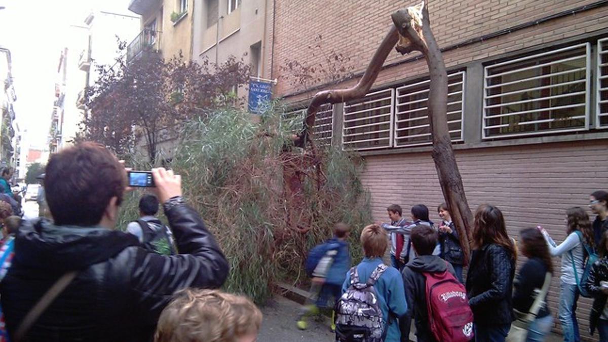 Expectación ante la caída de un árbol junto al colegio Sant Josep en la calle de Montseny, en el barrio barcelonés de Gràcia.