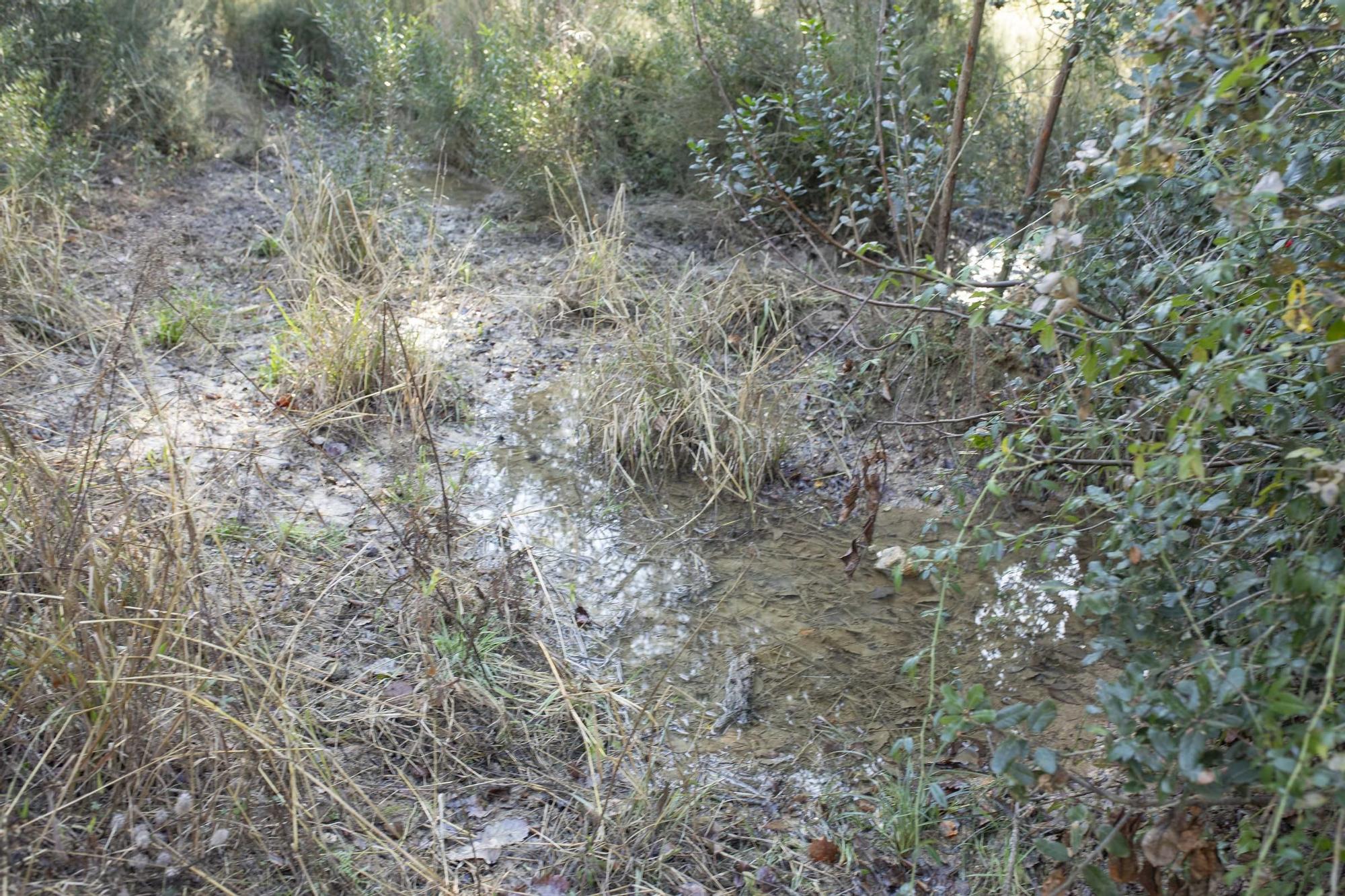 Galeria d'imatges: Veïns de Vidreres denuncien fuites d’aigua a les canonades en plena sequera