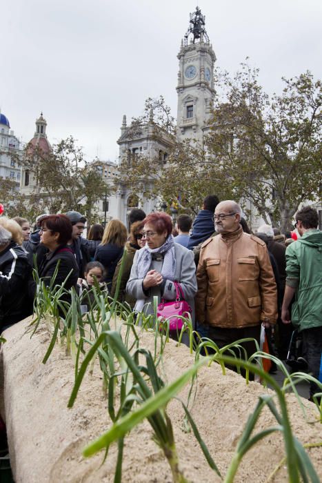 Mercado ecológico en la plaza del Ayuntamiento de Valencia