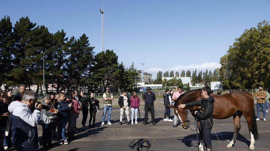 El turismo de congresos en Gijón, al alza con más de 30 citas antes de fin de año, aspira a captar eventos deportivos