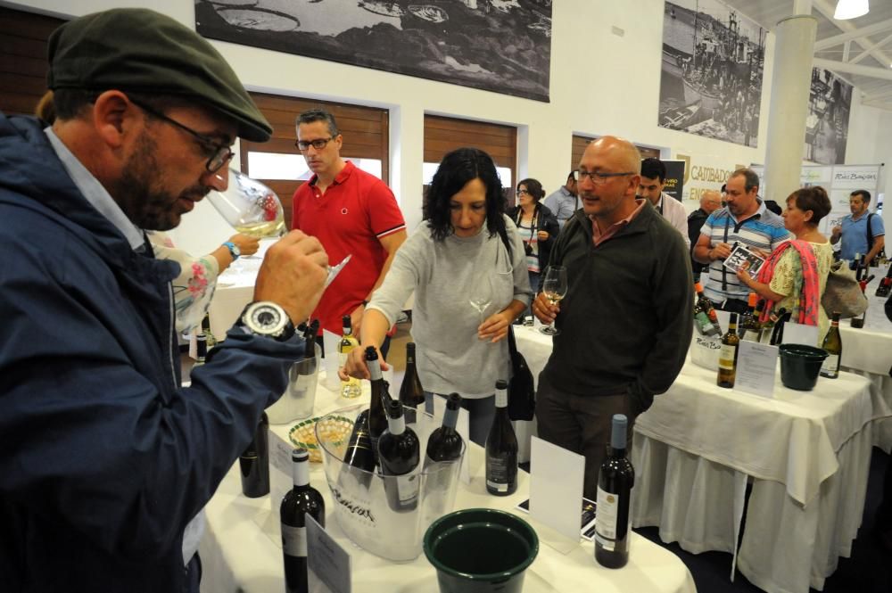 Festa do Alvariño | Cambados, escaparate del vino