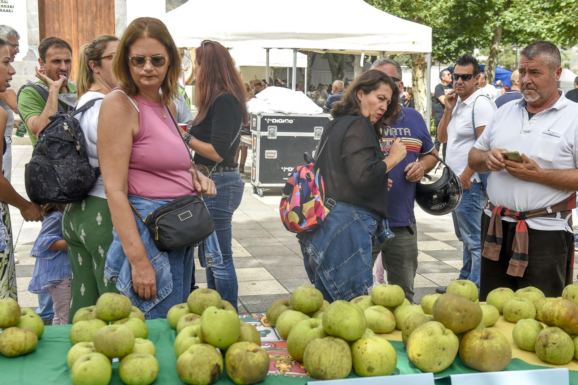 Fiestas de la manzana de Valleseco