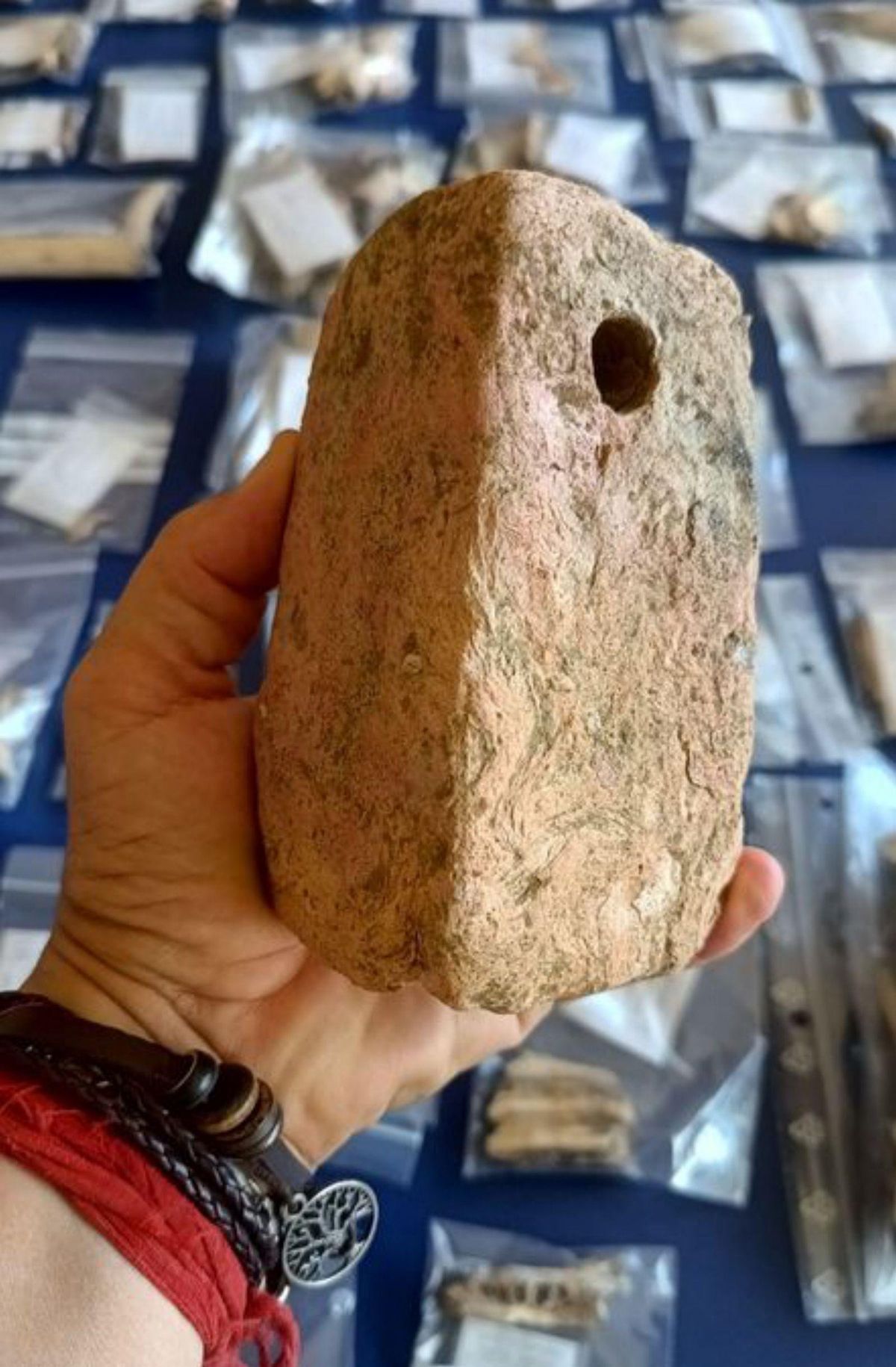 Localizada una habitación romana del Alto Imperio en Lucus Asturum