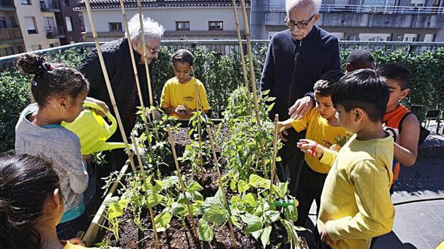 Un grup de nens i nenes, amb l&#039;ajuda de gent gran, cultivant un petit hort a la residència de Can Regàs de Girona.