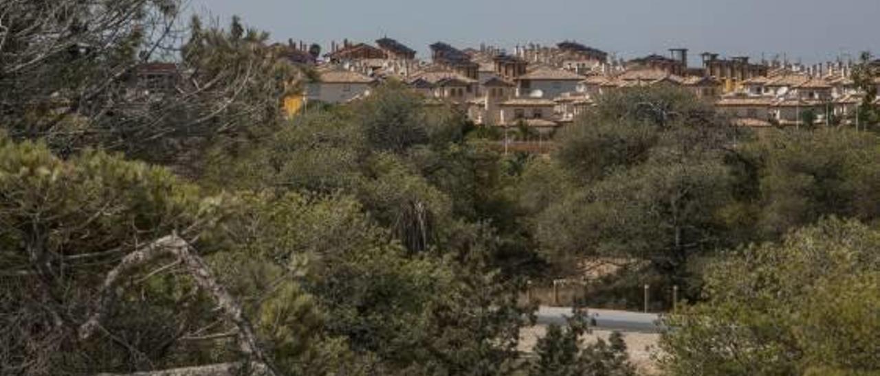 Imágenes de urbanizaciones en La Nucía, Elche y Guardamar del Segura, construidas en medio de masas forestales y, por lo tanto, susceptibles de ser pasto de las llamas en caso de producirse un incendio como el que asola Xàbia.