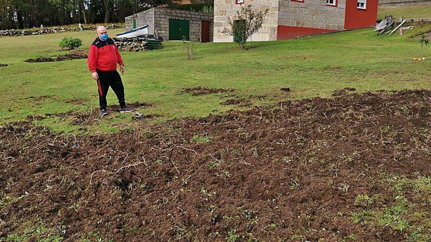 Finca de Luciano Lorenzo atacada por los jabalíes. |   // SANTOS ÁLVAREZ