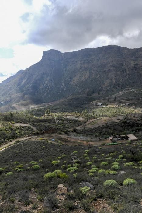 GRAN CANARIA 26-01-2019  SANTA LUCIA DE TIRAJANA-SAN BARTOLOME DE TIRAJANA. Fotos al macizo de Amurga. Fotos a los terrenos de la familia de Román comprados por el Cabildo.  FOTOS: JUAN CASTRO