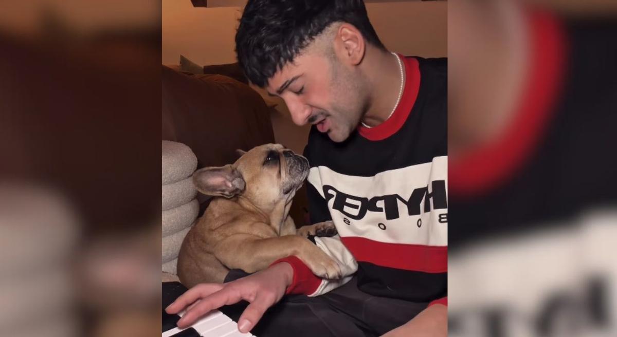 Momento en el que la perrita mira embelesada a su dueño mientres este canta.